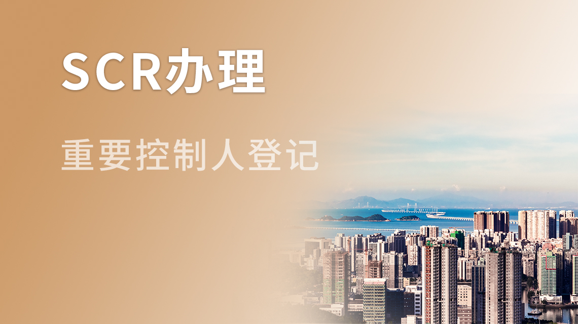 SCR办理